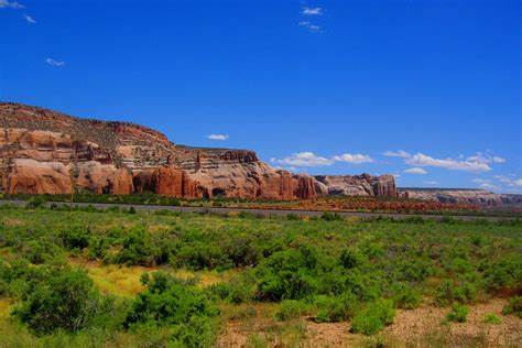 Deciphering CBD Legality in New Mexico: A Comprehensive Guide