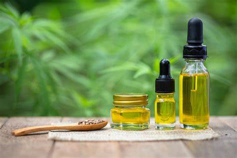 Understanding CBD: Exploring the Basics of Cannabidiol