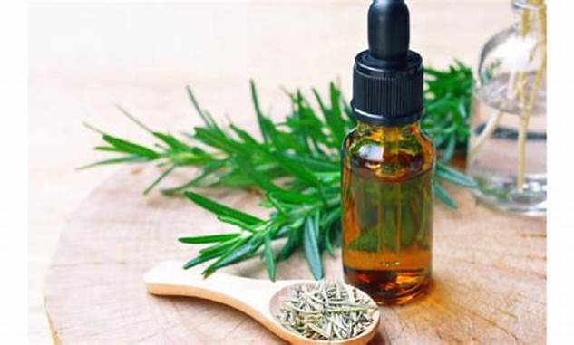 CBD vs. THC: Understanding the Differences and Similarities