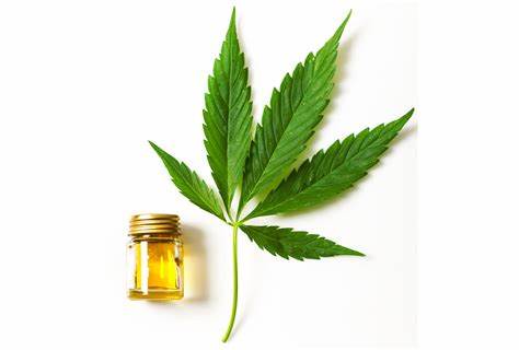 CBD and Weed: Exploring the Relationship and Differences