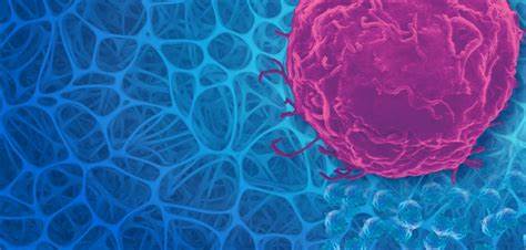 CBD and Cancer: Exploring the Potential Benefits and Considerations
