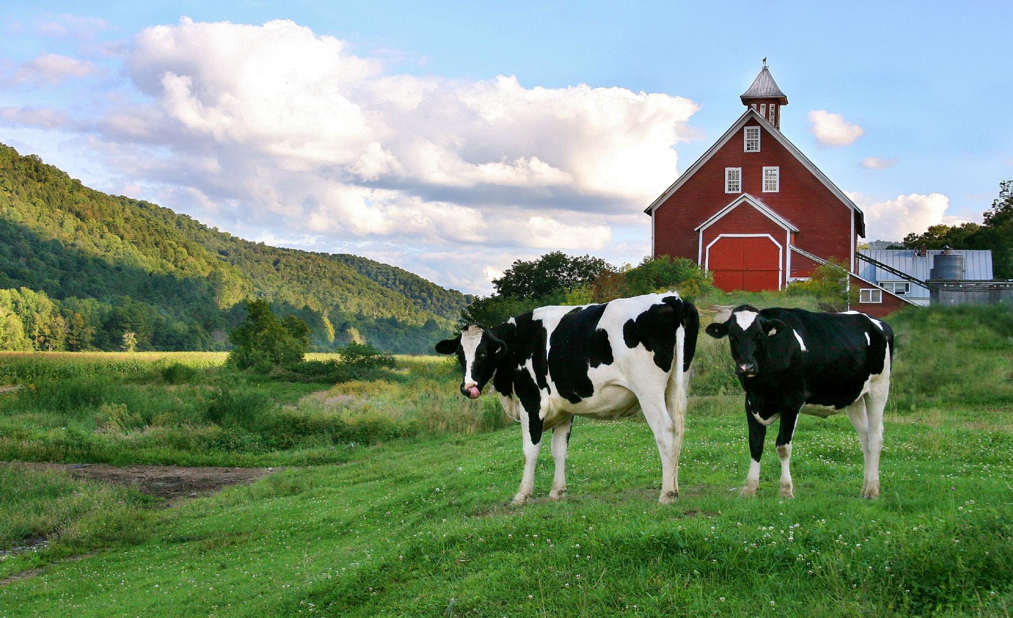 Unleashing the Potential: Exploring the World of Hemp Farming
