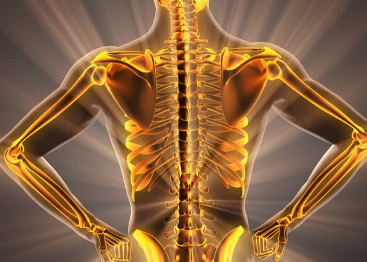 CBD and Bone Health: Exploring Potential Benefits for Stronger Bones