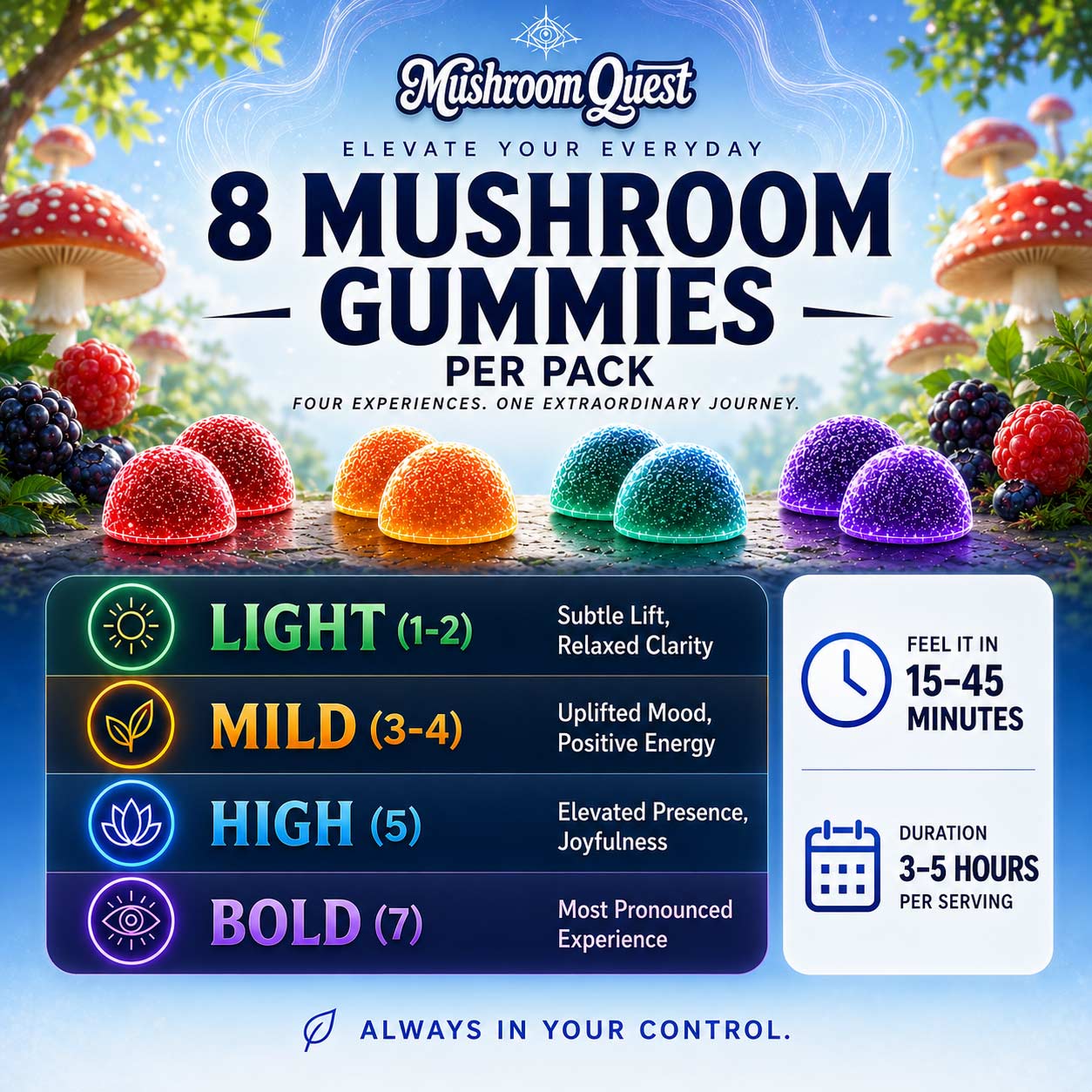Mushroom Quest