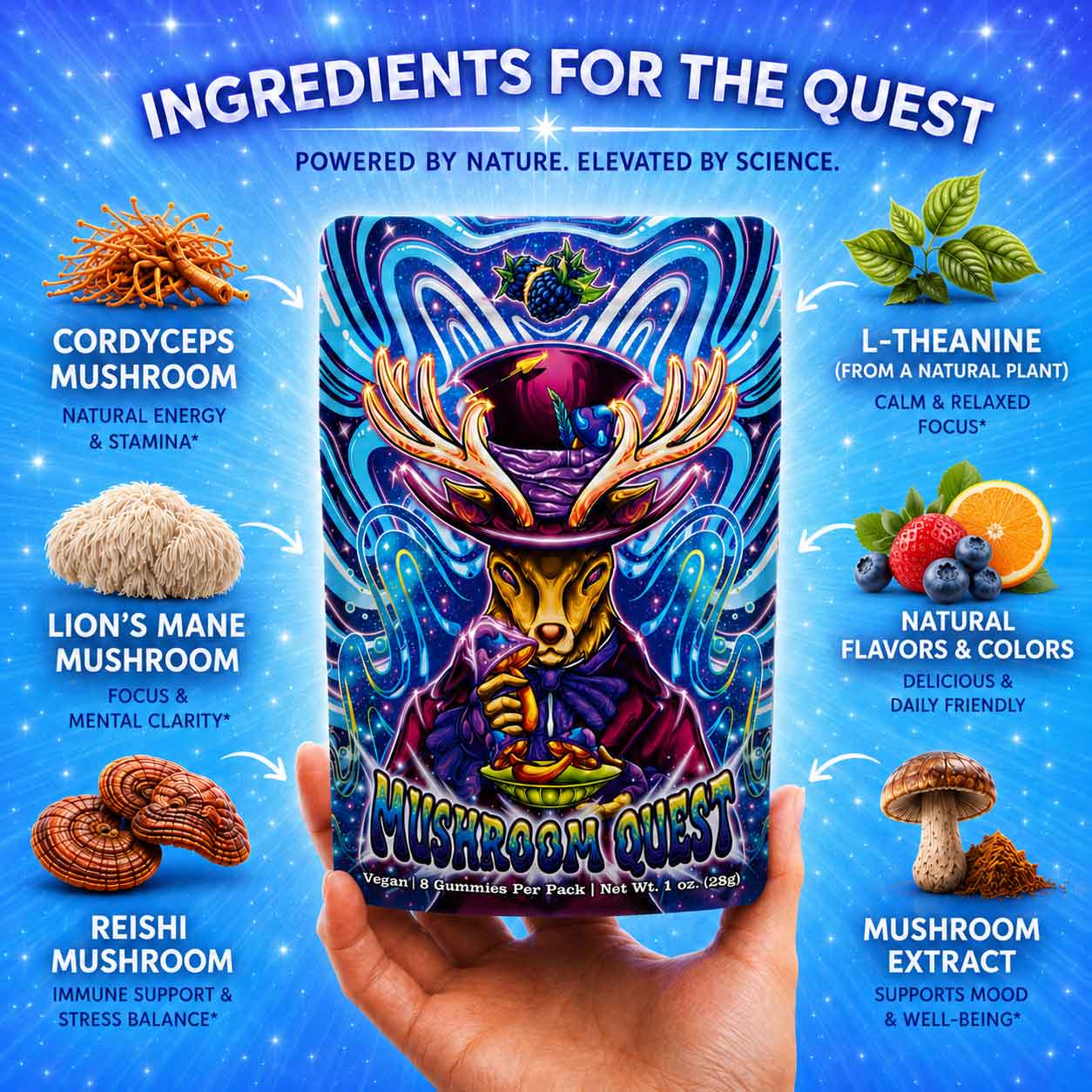 Mushroom Quest