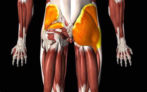 Exploring the Potential of Delta-9 THC for Muscle Recovery