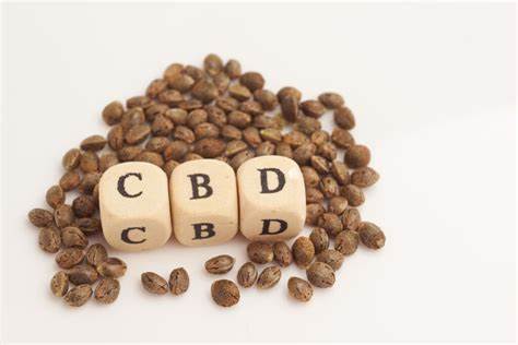 Exploring CBD Seeds: An Overview of Hemp Seeds for Cultivation